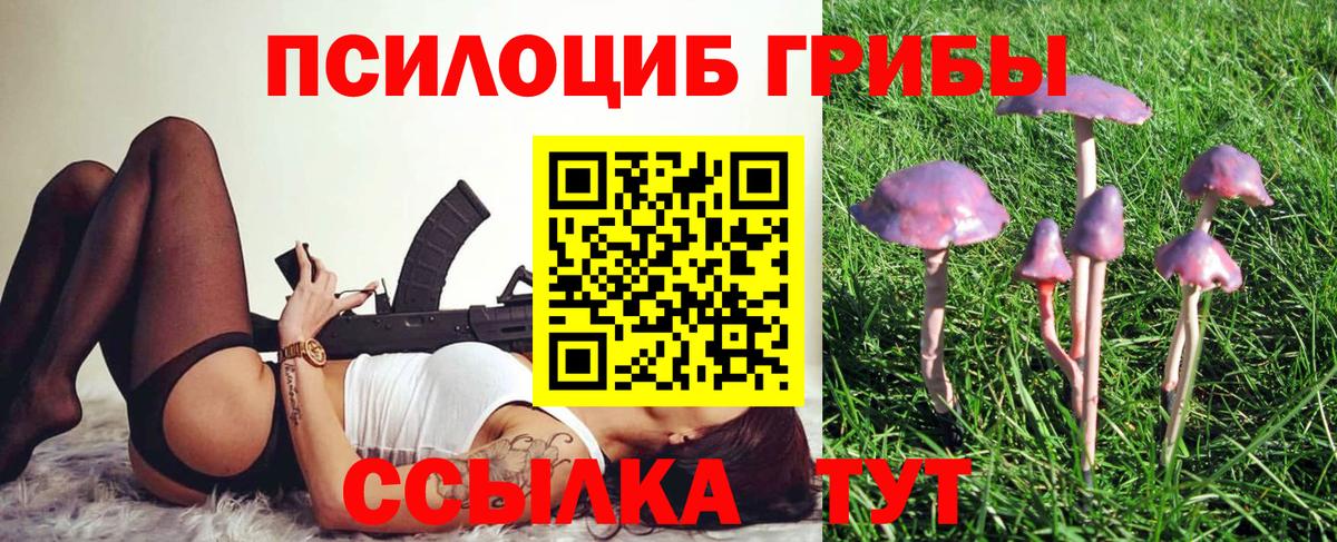 Стрежевой  Псилоцибиновые грибы Cubensis  Вход с VPN 